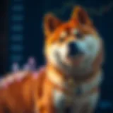 Graph showing the upward and downward trends of Shiba Inu cryptocurrency price over time